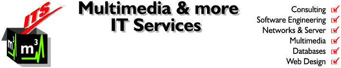 Logo m³ITS